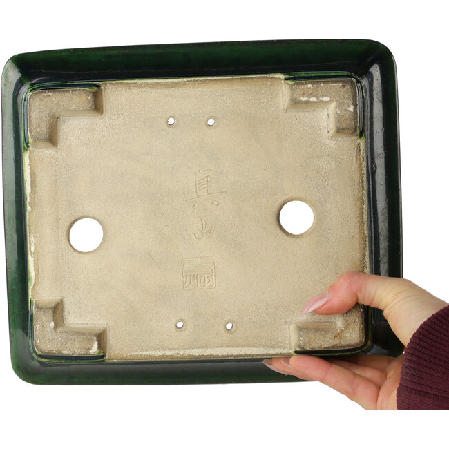 Pot à bonsaï rectangulaire vert par Terahata Satomi Mazan - 250 x 215 x 82 mm