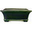 Rectangular green bonsai pot by Terahata Satomi Mazan - 250 x 215 x 82 mm