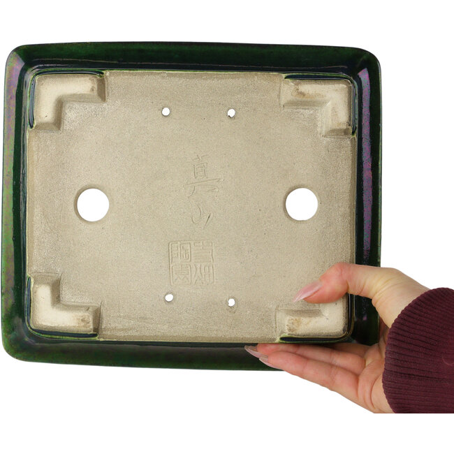 Maceta rectangular para bonsái verde de Terahata Satomi Mazan - 250 x 215 x 82 mm