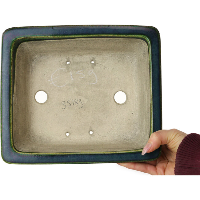 Maceta rectangular para bonsái verde de Terahata Satomi Mazan - 250 x 215 x 82 mm