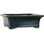 Maceta rectangular para bonsái verde de Terahata Satomi Mazan - 278 x 245 x 90 mm