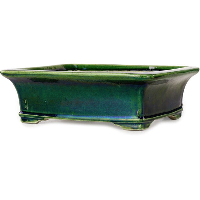 Pot à bonsaï rectangulaire vert par Terahata Satomi Mazan - 278 x 245 x 90 mm