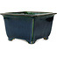 Square green bonsai pot by Terahata Satomi Mazan - 225 x 225 x 140 mm