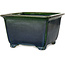 Vierkante groene bonsaipot van Terahata Satomi Mazan - 225 x 225 x 140 mm