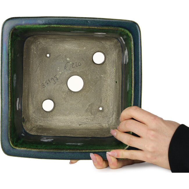 Square green bonsai pot by Terahata Satomi Mazan - 225 x 225 x 140 mm