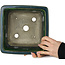 Maceta cuadrada para bonsái verde de Terahata Satomi Mazan - 225 x 225 x 140 mm