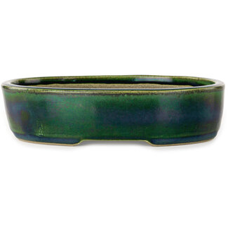  Satomi Mazan, Mazan Terahata Maceta para bonsái verde ovalada de 222 mm de Terahata Satomi Mazan, Tokoname, Japón