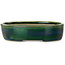 Oval green bonsai pot by Terahata Satomi Mazan - 222 x 175 x 52 mm