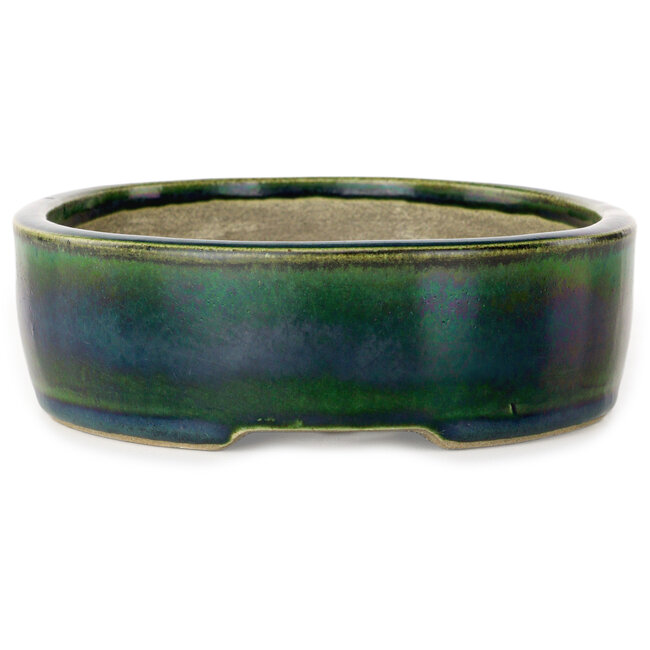 Vaso bonsai ovale verde di Terahata Satomi Mazan - 222 x 175 x 52 mm