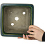 Quadratischer grüner Bonsaitopf von Terahata Satomi Mazan – 225 x 225 x 140 mm