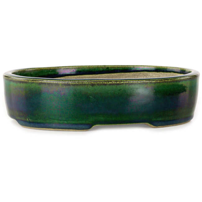 Maceta ovalada para bonsái verde de Terahata Satomi Mazan - 222 x 175 x 52 mm