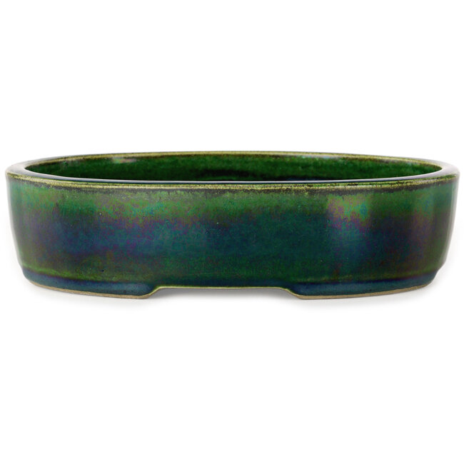 Vaso bonsai ovale verde di Terahata Satomi Mazan - 222 x 175 x 52 mm