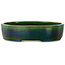 Ovaler grüner Bonsaitopf von Terahata Satomi Mazan – 222 x 175 x 52 mm