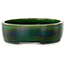 Pot à bonsaï ovale vert par Terahata Satomi Mazan - 222 x 175 x 52 mm