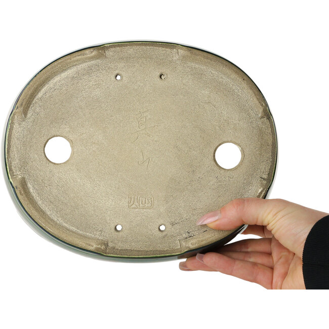Maceta ovalada para bonsái verde de Terahata Satomi Mazan - 222 x 175 x 52 mm