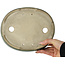Maceta ovalada para bonsái verde de Terahata Satomi Mazan - 222 x 175 x 52 mm