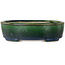 Maceta ovalada para bonsái verde de Terahata Satomi Mazan - 192 x 160 x 55 mm
