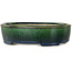 Maceta ovalada para bonsái verde de Terahata Satomi Mazan - 192 x 160 x 55 mm