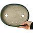 Maceta ovalada para bonsái verde de Terahata Satomi Mazan - 222 x 175 x 52 mm
