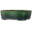Vaso bonsai ovale verde di Terahata Satomi Mazan - 192 x 160 x 55 mm
