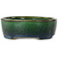 Maceta ovalada para bonsái verde de Terahata Satomi Mazan - 192 x 160 x 55 mm