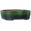 Oval green bonsai pot by Terahata Satomi Mazan - 192 x 160 x 55 mm