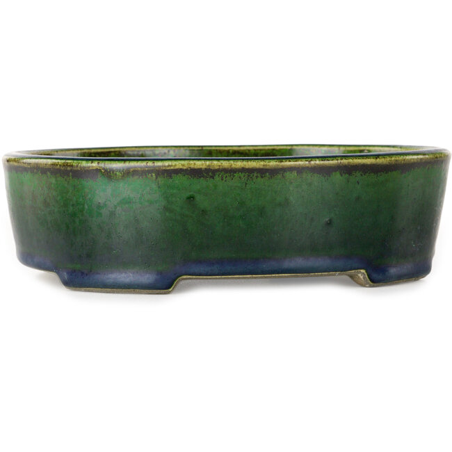 Maceta ovalada para bonsái verde de Terahata Satomi Mazan - 192 x 160 x 55 mm