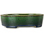 Vaso bonsai ovale verde di Terahata Satomi Mazan - 192 x 160 x 55 mm