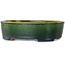 Maceta ovalada para bonsái verde de Terahata Satomi Mazan - 192 x 160 x 55 mm