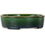 Vaso bonsai ovale verde di Terahata Satomi Mazan - 192 x 160 x 55 mm