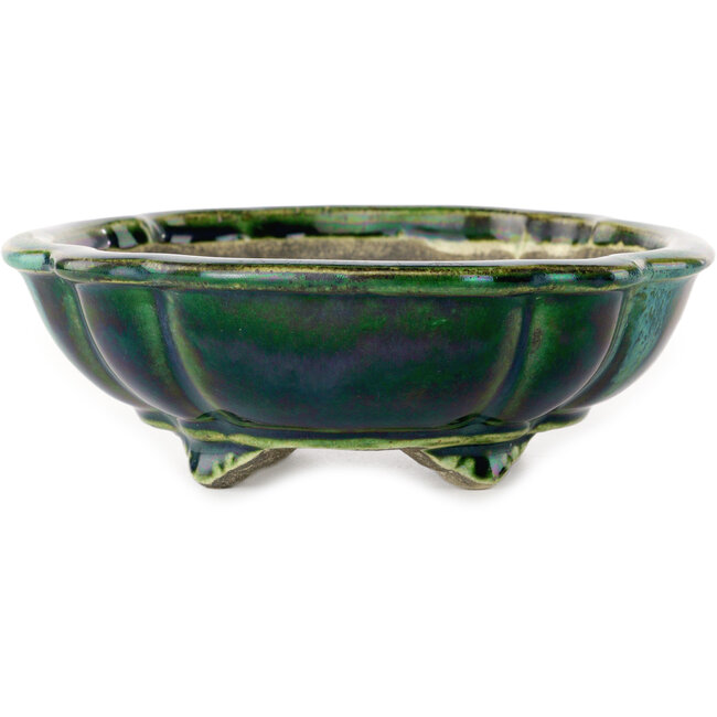 Lotus green with a blue accent bonsai pot by Terahata Satomi Mazan - 203 x 175 x 55 mm