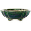 Lotus green with a blue accent bonsai pot by Terahata Satomi Mazan - 203 x 175 x 55 mm