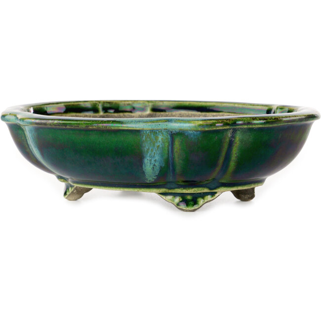 Maceta de bonsái verde loto con detalles en azul de Terahata Satomi Mazan - 203 x 175 x 55 mm