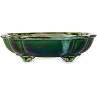  Satomi Mazan, Mazan Terahata 203 mm lotus green with a blue accent bonsai pot by Terahata Satomi Mazan, Tokoname, Japan