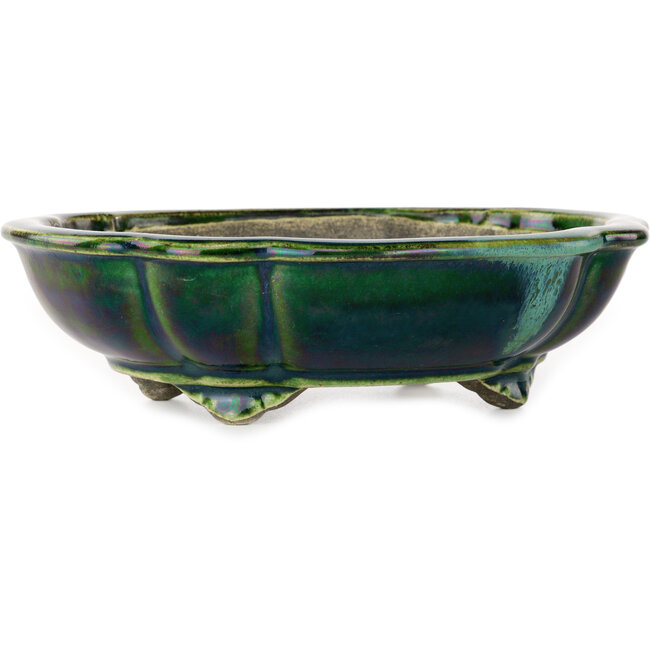 Lotus green with a blue accent bonsai pot by Terahata Satomi Mazan - 203 x 175 x 55 mm