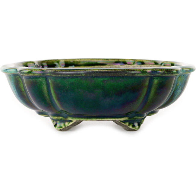 Maceta de bonsái verde loto con detalles en azul de Terahata Satomi Mazan - 203 x 175 x 55 mm