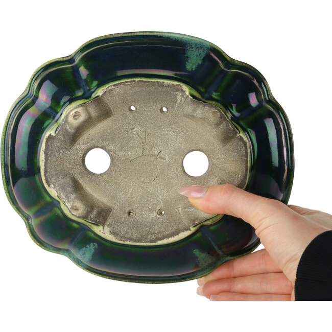 Lotus green with a blue accent bonsai pot by Terahata Satomi Mazan - 203 x 175 x 55 mm