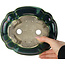 Lotus green with a blue accent bonsai pot by Terahata Satomi Mazan - 203 x 175 x 55 mm