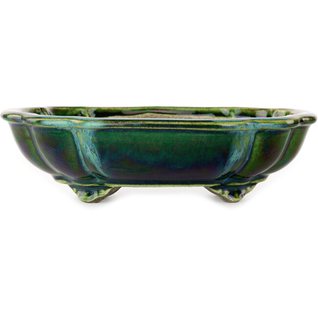 Pot à bonsaï vert lotus avec accent bleu par Terahata Satomi Mazan - 203 x 175 x 55 mm