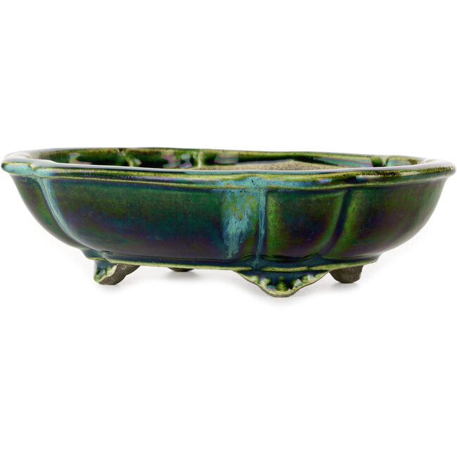 Pot à bonsaï vert lotus avec accent bleu par Terahata Satomi Mazan - 203 x 175 x 55 mm