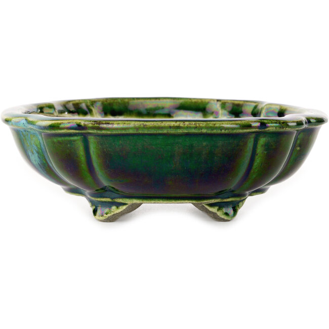 Vaso bonsai verde loto con accenti blu di Terahata Satomi Mazan - 203 x 175 x 55 mm