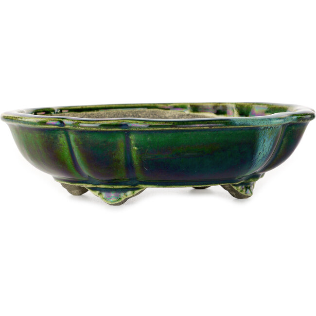 Pot à bonsaï vert lotus avec accent bleu par Terahata Satomi Mazan - 203 x 175 x 55 mm