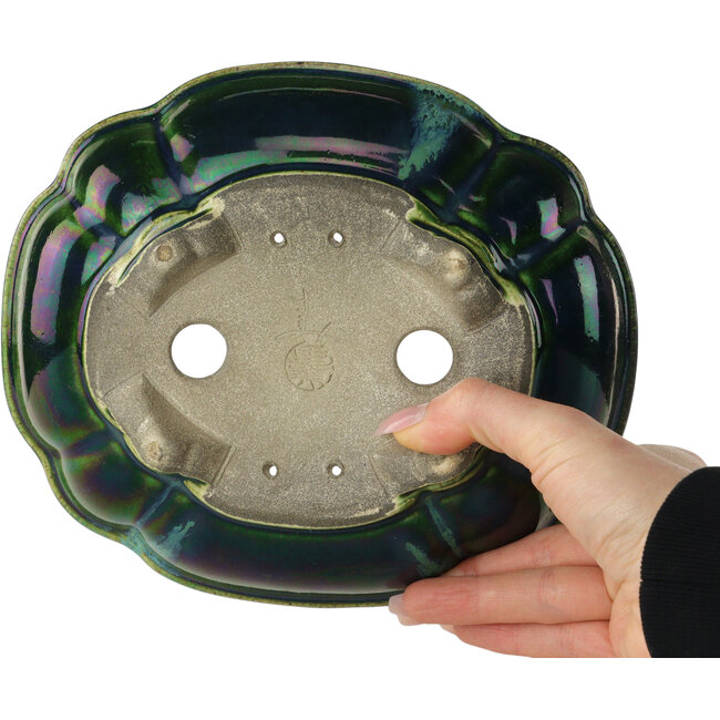 Pot à bonsaï vert lotus avec accent bleu par Terahata Satomi Mazan - 203 x 175 x 55 mm