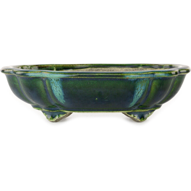 Lotusgrüner Bonsaitopf mit blauem Akzent von Terahata Satomi Mazan – 203 x 175 x 55 mm