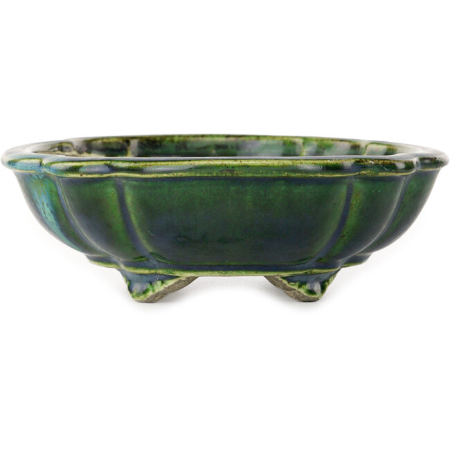 Maceta de bonsái verde loto con detalles en azul de Terahata Satomi Mazan - 203 x 175 x 55 mm