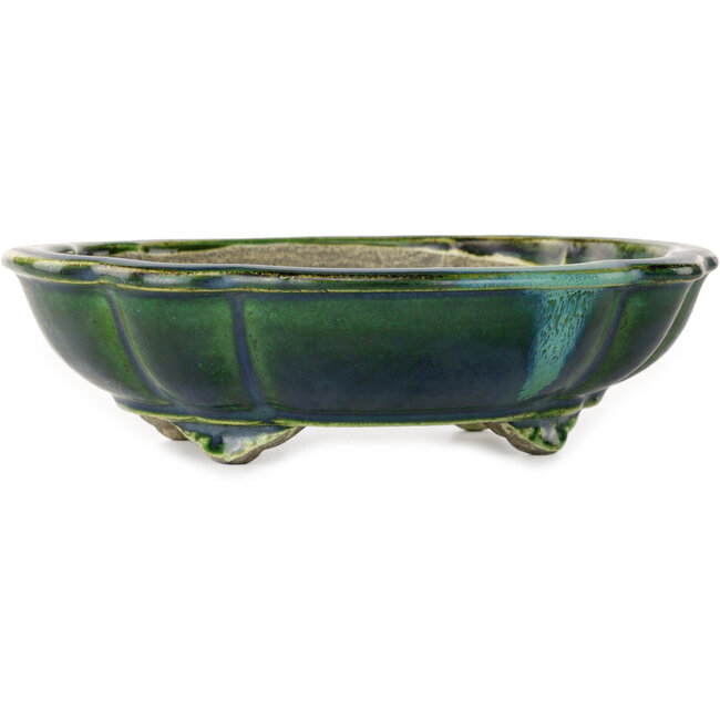 Vaso bonsai verde loto con accenti blu di Terahata Satomi Mazan - 203 x 175 x 55 mm