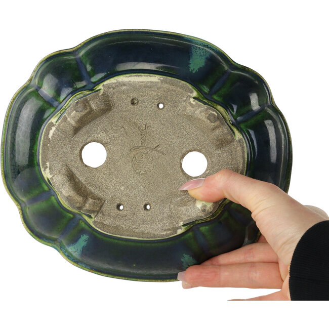 Vaso bonsai verde loto con accenti blu di Terahata Satomi Mazan - 203 x 175 x 55 mm