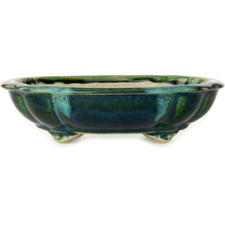  Satomi Mazan, Mazan Terahata 182 mm lotusgroen met een blauw accent bonsaipot van Terahata Satomi Mazan, Tokoname, Japan