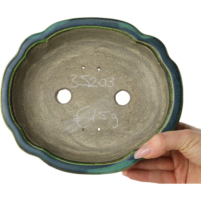 Lotusgrüner Bonsaitopf mit blauem Akzent von Terahata Satomi Mazan – 203 x 175 x 55 mm