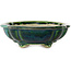 Lotus green with a blue accent bonsai pot by Terahata Satomi Mazan - 182 x 154 x 48 mm